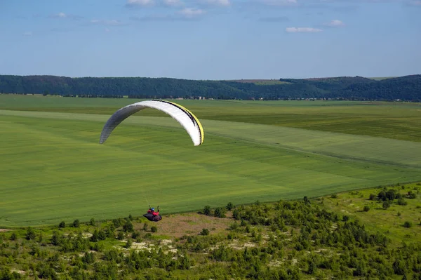 Paragliding Green Field Summer Sunny Day One Paraglider Fly Green — Stock Photo, Image