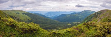 Dağ manzarası parlak güneşli bir günde, doğal açık seyahat arka plan şaşırtıcı. Karpat Dağları Ukrayna dramatik ve güzel sahne.