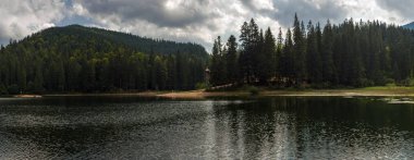Dağ göl ve dağların güzel manzaralarını yaz aylarında ormanıyla kaplı. Popüler turistik. Lake Sinevir Karpatlar, Ukrayna içinde muhteşem manzara.