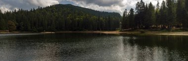 Dağ göl ve dağların güzel manzaralarını yaz aylarında ormanıyla kaplı. Popüler turistik. Lake Sinevir Karpatlar, Ukrayna içinde muhteşem manzara.
