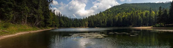 山の湖や山の美しい景色は 夏に森林に覆われて 人気の観光スポット カルパチア山脈 ウクライナにおける湖 Sinevir の幻想的な風景 — ストック写真