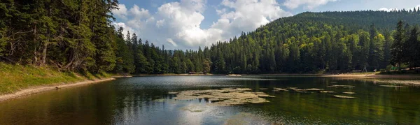 山の湖や山の美しい景色は 夏に森林に覆われて 人気の観光スポット カルパチア山脈 ウクライナにおける湖 Sinevir の幻想的な風景 — ストック写真