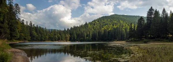 Hermosas Vistas Del Lago Montaña Las Montañas Cubiertas Bosque Verano — Foto de Stock