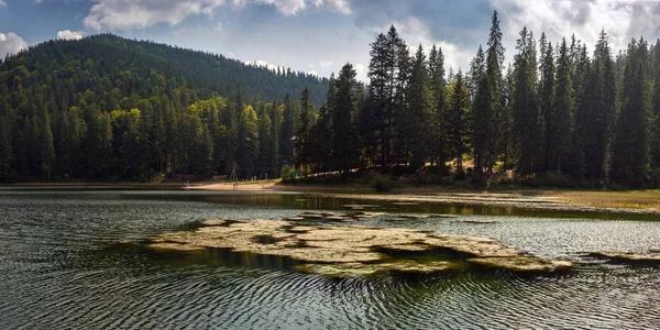 Hermosas Vistas Del Lago Montaña Las Montañas Cubiertas Bosque Verano — Foto de Stock