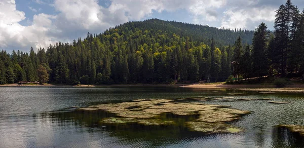 Hermosas Vistas Del Lago Montaña Las Montañas Cubiertas Bosque Verano — Foto de Stock