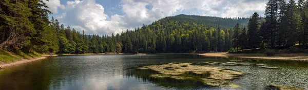 Hermosas Vistas Del Lago Montaña Las Montañas Cubiertas Bosque Verano — Foto de Stock