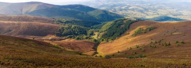 Borzhavsky dağ silsilesi, Ukrayna güzel manzarasına. Dağ Vadisi gün güneşli yaz Panoraması.