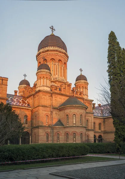 Sabah sokaktan Chernivtsi Üniversitesi dış cephe. Üniversite avlusu.