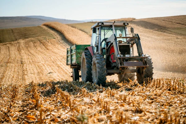 农业工业 工业拖拉机与拖车工作的玉米地和收获在秋天季节 — 图库照片