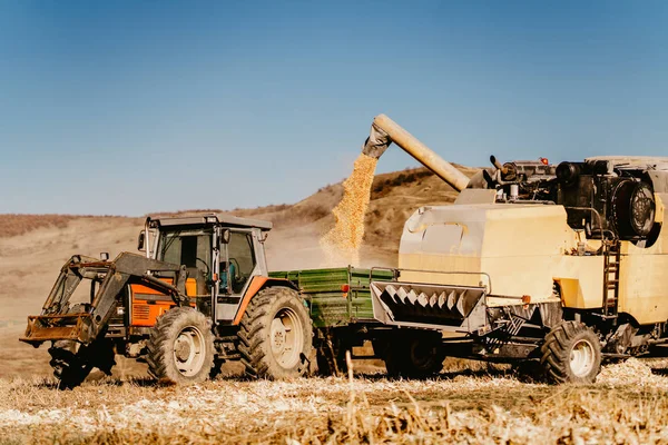 Kombinovat Kombajn Pracuje Obilných Polích Vyložení Obilí Přívěsu Traktoru — Stock fotografie