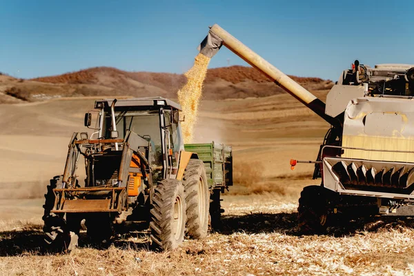 Промышленные Фермеры Используют Комбайны Тракторы Осеннего Сбора Урожая — стоковое фото