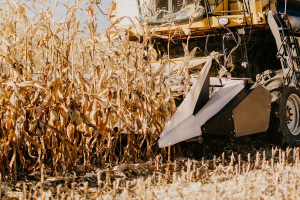 Close up details of working farmer with combine harverster in the fields