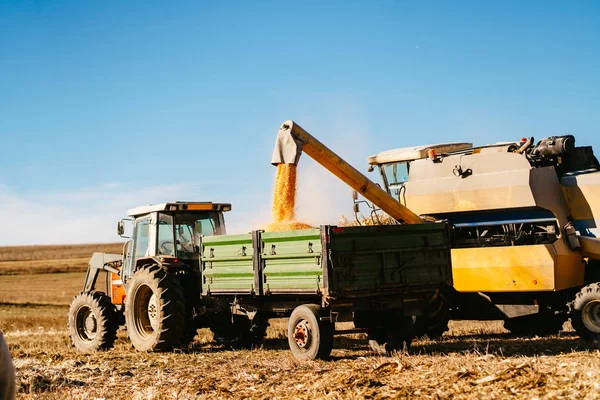 Spannmål Skördare Med Traktor Och Transportera Skörd — Stockfoto