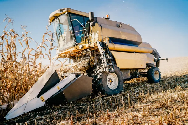 Details Voor Combineren Harvester Verzamelen Van Maïs Oogsten Tijdens Herfst — Stockfoto