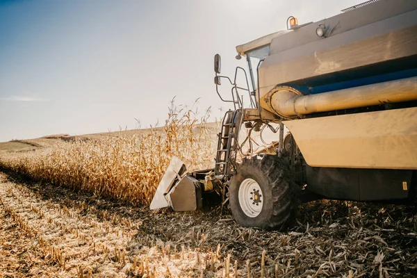 Skördaren Arbeta Fälten Jordbrukare Som Använder Kombinera Maskiner Industriella Jordbruket — Stockfoto