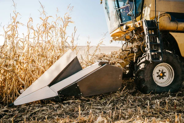Combineren Van Harvester Verzamelen Van Maïs Oogsten Tijdens Val Seizoen — Stockfoto