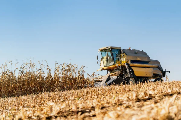 A combine harvester working in the corn fields