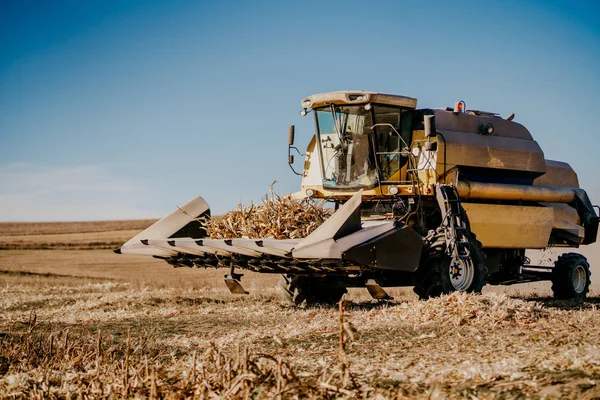 Αγρότης Χρησιμοποιώντας Συνδυάζουν Θεριστικών Και Συλλογή Corn Combine Που Εργάζονται — Φωτογραφία Αρχείου