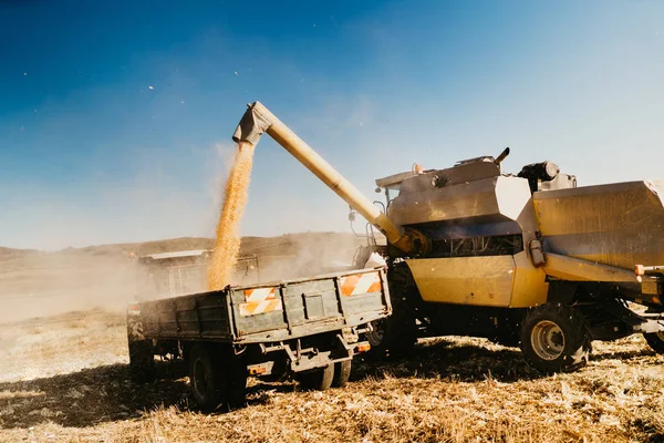 Industriële Harvester Lossen Maïs Gewassen Trekker Oplegger — Stockfoto