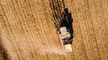 Hava görünümünü birleştirmek hasat ve sonbaharda hasat Mısır alanın ayrıntılarını