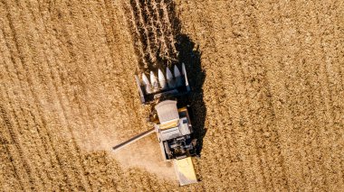 Mısır hava ayrıntıları hasat. Makine ve birleştirme kullanarak çiftçi