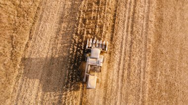 Çiftçi bitkileri hasat için birleştirme kullanarak havadan görünümü