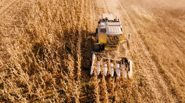 Araçlar Birleştirme Hasat Hasat Çiftçinin Traktörü Kullanarak Havadan Görünümü — Stok fotoğraf