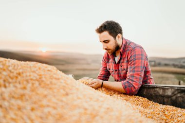 Genç adam, gülümseyerek ve Mısır günbatımında tutan tarım arazileri üzerinde genç çiftçi