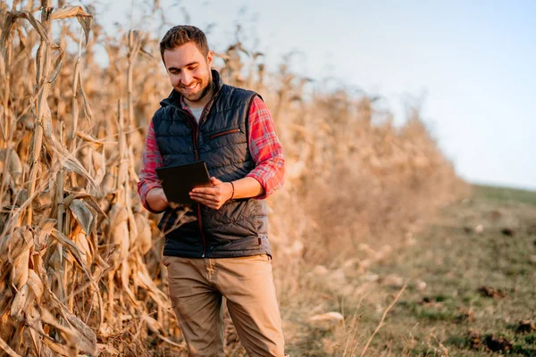 Porträt Eines Bauern Mit Tablet Alltag Herbsternte Bei Landwirt — Stockfoto