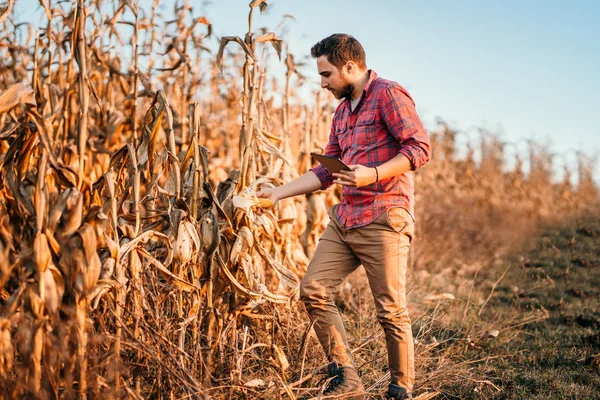 Details of farmer using technology in agriculture field. Harvesting details with handsome farmer