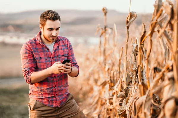Porträt Eines Landwirts Mit Technologie Eines Jungbauern Mit Smartphone Der — Stockfoto