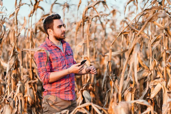 People Portraits Active Farmer Using Technology Mobile Phone Everyday Life — Stock Photo, Image