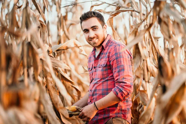Porträt Eines Bauern Mit Mais Lächelnder Mann Bei Der Ernte — Stockfoto