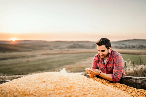 Portrait Harvester Sunset Enjoying His Harvest Tractor Trailer — Stock Photo, Image