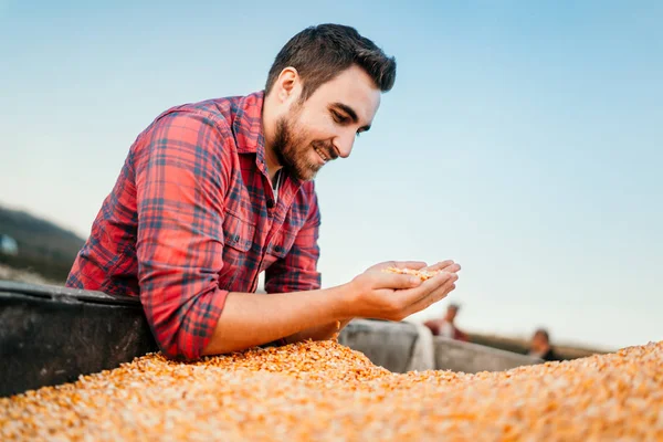 Young Farmer Farm Worker Looking Corn Harvest Tractor Trailer — Stock Photo, Image