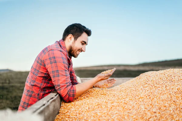 Combine Harvesting Details People Farmers Enjoying Harvested Corn — Stock Photo, Image