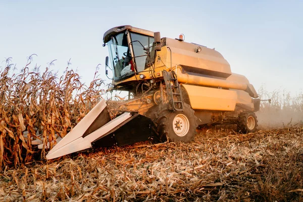 Details Combine Harvesting Industrial Agricultural Machinery Working Fields Harvesting Corn — Stock Photo, Image