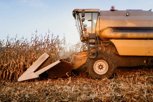 Agricultor Usando Colheitadeira Que Trabalha Campos Colheita Milho — Fotografia de Stock