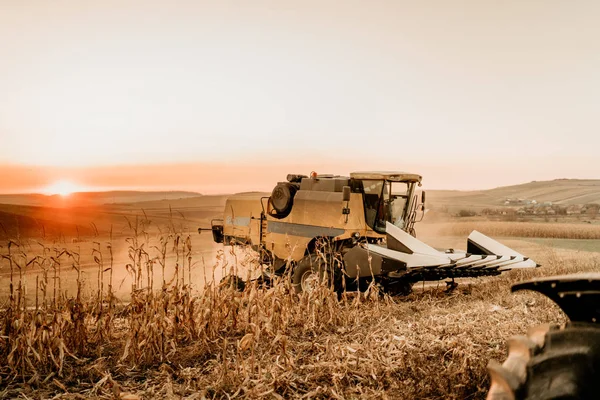 Agricoltura Industriale Combinare Macchine Mietitrebbie Che Lavorano Nei Campi Raccolta — Foto Stock