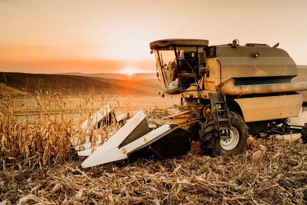 Oogst Details Met Combine Harvester Transporteren Van Oogst Bij Zonsondergang — Stockfoto