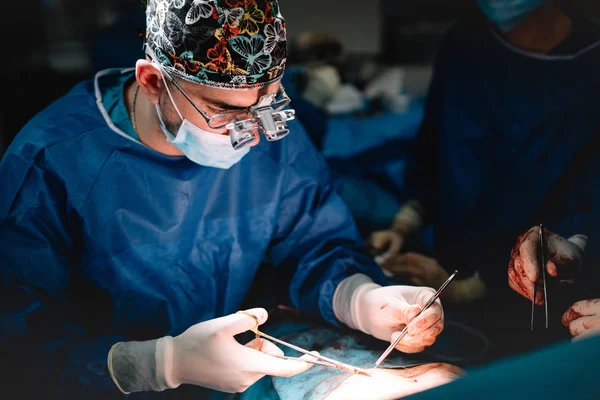 Retrato Del Cirujano Con Lupas Quirúrgicas Durante Procedimiento Médico Cirujano — Foto de Stock