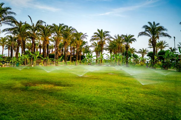 Gardening details - automatic lawn watering system with pop-up sprinklers