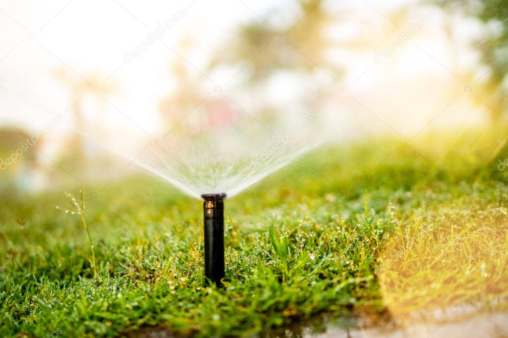 Close up details of automatic grass, lawn pop-up sprinkler