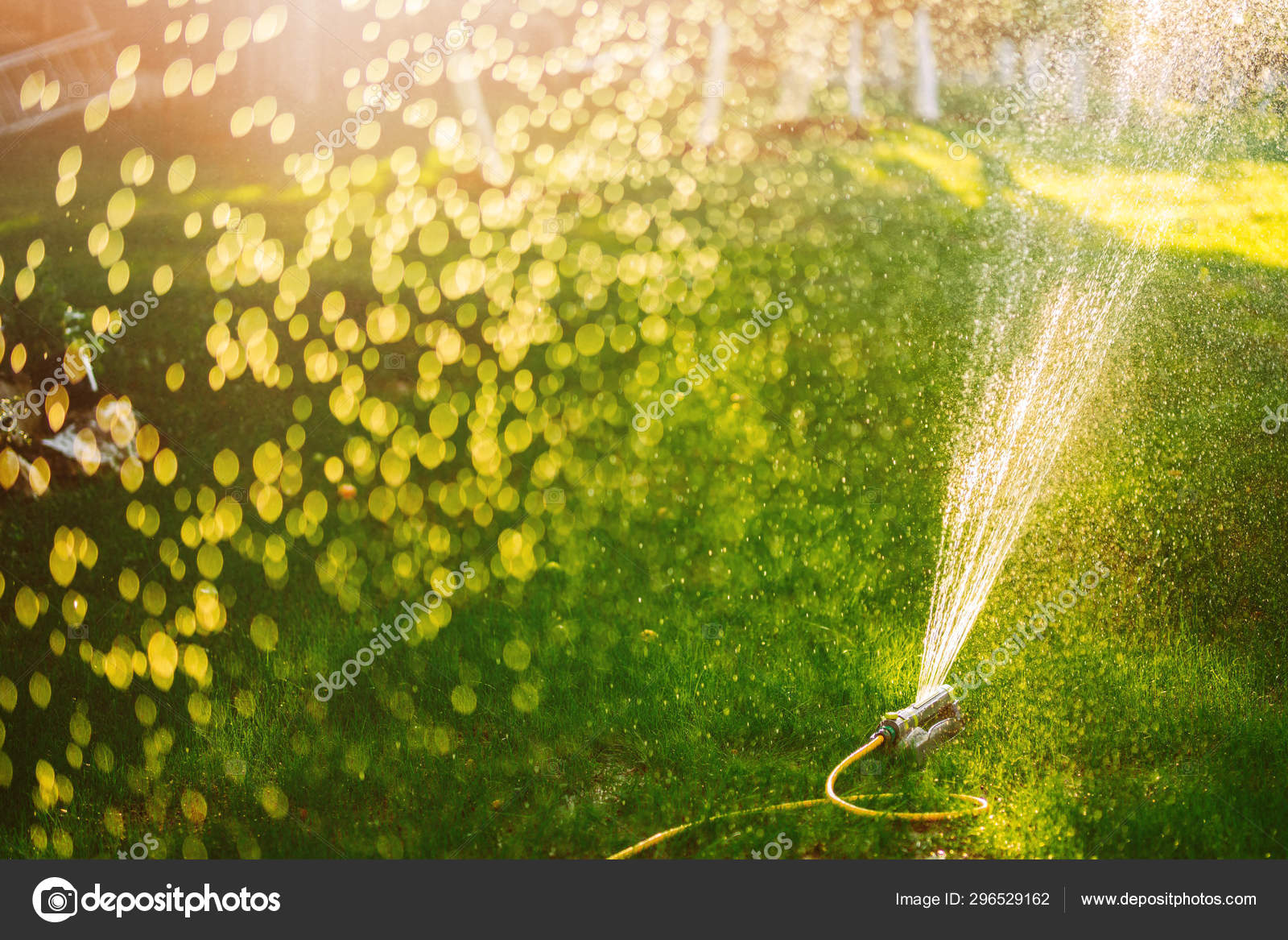 Best Sprinkler System