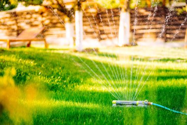 Çim su sprinkler çim yeşil taze çim arka bahçesinde sulama
