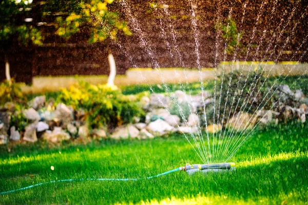 Gardening details - automatic lawn watering system with circular sprinklers. Close up details of lawn maintainance