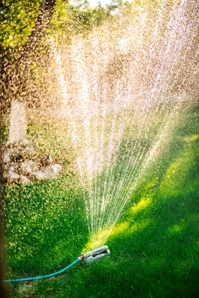 Detalhes de jardinagem - sistema automático de rega de relva com aspersores circulares. Gotas de água em toda parte — Fotografia de Stock