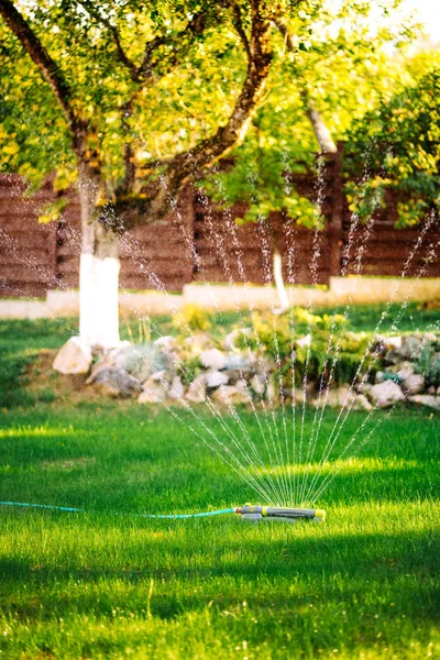 Automatic lawn watering system with circular sprinklers — Stock Photo, Image