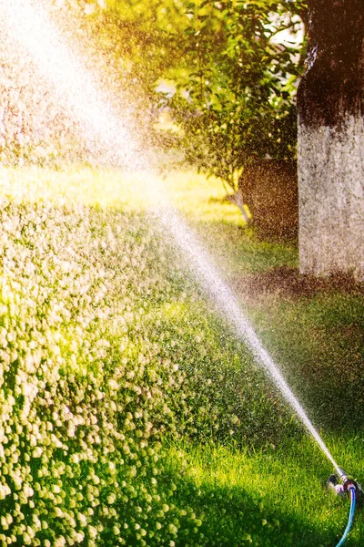 夏の夜に緑の草の上に水を吹き付ける芝生のスプリンクラー — ストック写真