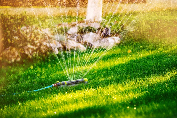 Irrigação aspersor no jardim. Sistema de aspersão regando o gramado — Fotografia de Stock